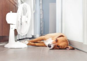 Signs It’s Time for HVAC Replacement Services