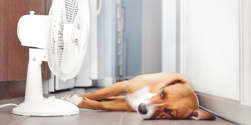 Signs It’s Time for HVAC Replacement Services